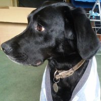 Annana (@annacwhitehead) 's Twitter Profile Photo
