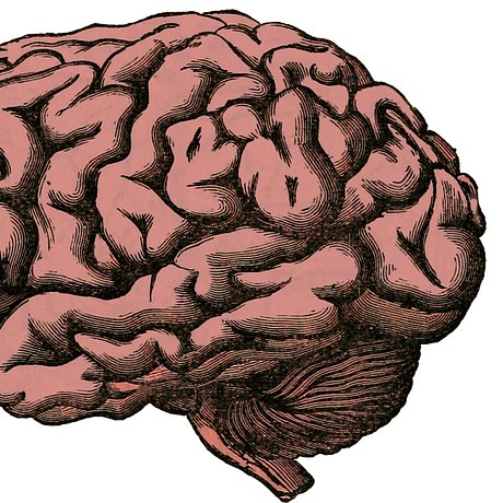 I am Donald J. Trump's Brain, or at least a portion of it- here to translate what's happening for you... and apologize for the other part of #trumpsbrain