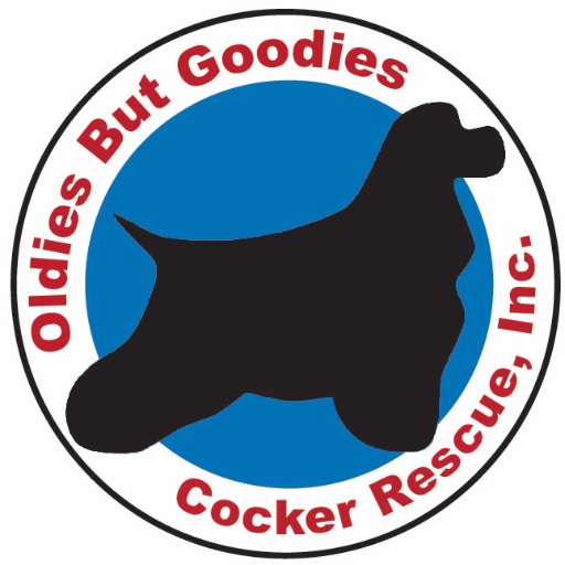 OBGCockerRescue's profile picture. Rescuing, rehabilitating, and rehoming cocker spaniels and spaniel mixes of all ages in the Mid-Atlantic Region since 1996.