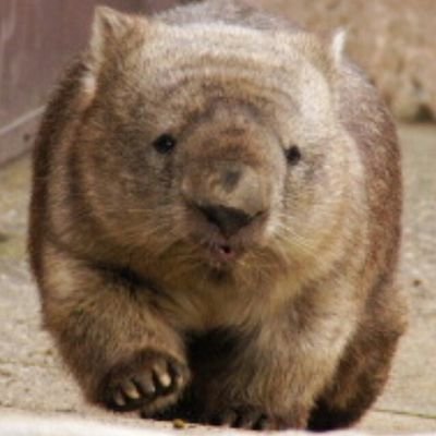 腹部。逹マニ明海月の昭和生まれ。20↑ 二次も三次も食べる。ホラーとミステリと短歌が好き。極彩夜ういちゃんがすき。
