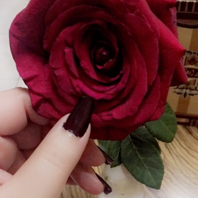 dodocool77's profile picture. وإن ماحصل لك ماتمناه / خيره مردها لو ضاقت أعوام ،، بتزين !!♥️ ويسألونكَ عن " الأُنثى " فقل هي الرحمة ، وقل هي أُم .. وإن لم تُنجِب !!! 💔 الحمدلله كثيراً 🙏