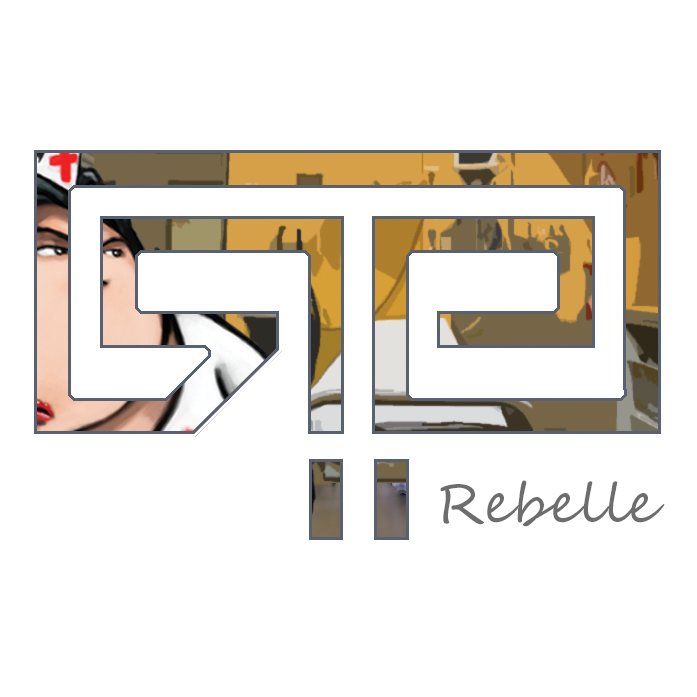 Directeur Artistique de Rebelle Productions. 

Rebelle productions est une association d'Artistes qui développe des jeux vidéos et applications multimédias.