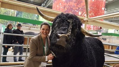 Schweine-Fan|Landwirtschaft| My words, my view