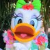 えりな (@ena_daisy) Twitter profile photo えりな (@ena_daisy) Twitter profile photo