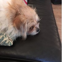 lilyk (@lilyk1000) 's Twitter Profile
