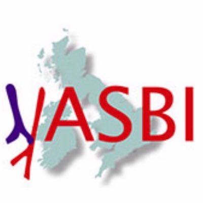 Vascular Access Society of Britain and Ireland.    Optimising vascular access. Improving patients’ lives.