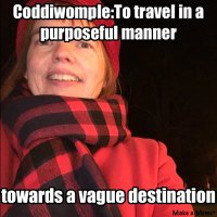 Sally 🇺🇦She/her (@sallymartinbrow) 's Twitter Profile
