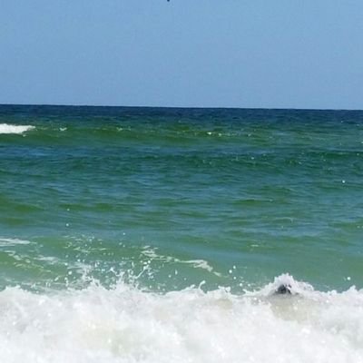 robdue21's profile picture. 