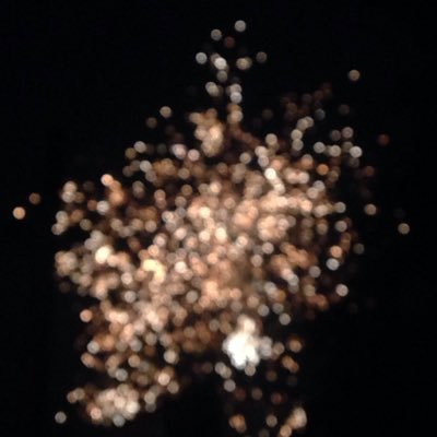 coco_codii's profile picture. 