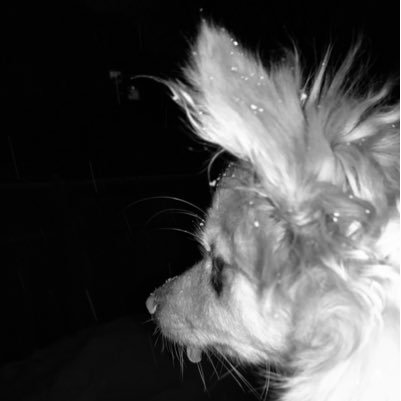 ervet's profile picture. 