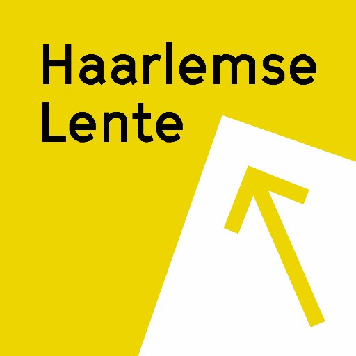 Viert de bloeiende hedendaagse kunstscene bij de Haarlemse musea, galeries en kunstenaarsinitiatieven