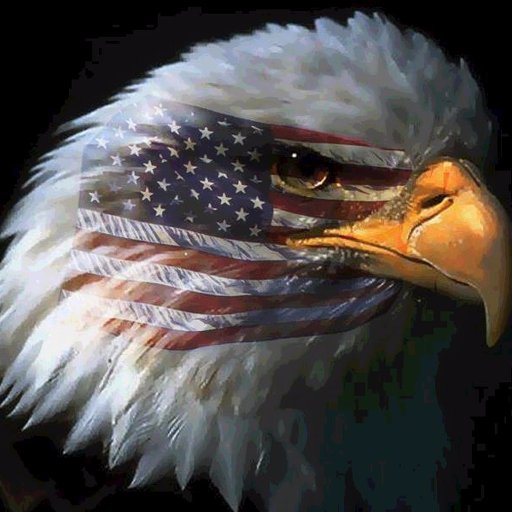 China Owes America Over $1 Trillion in Sovereign Debt!
Since its founding in 2001, the ABF has been working to get China's debt to America paid.