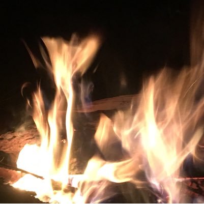 SaraJanelb's profile picture. I am a Speech Language Pathologist and an Assistive Technology Specialist working in the FMRSD, SAU 60 NH schools! Im also a wild mushroom hunter and gardener!