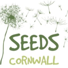 SEEDS Cornwall are a group of female survivors of domestic abuse. We are committed to influencing and improving services for women & children.