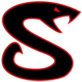 SquallionX's profile picture. 