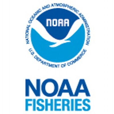 Media relations @NOAAFisheries. Issues include fisheries management, marine mammals, sea turtles, aquaculture and more. Follows, RTs, mentions ≠ endorsement.