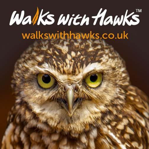 WalksWithHawks Profile Picture