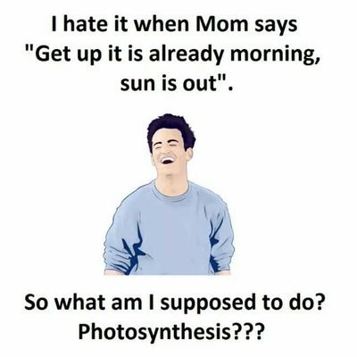 sp36987's profile picture. traveling is awesome!