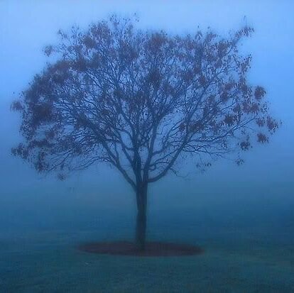 Questioning yourself is not wierd bt answering is.....