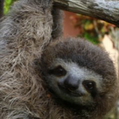 hi im zander and i am a really nice person i will answer all of your questions and im into gaming and i like having friends
