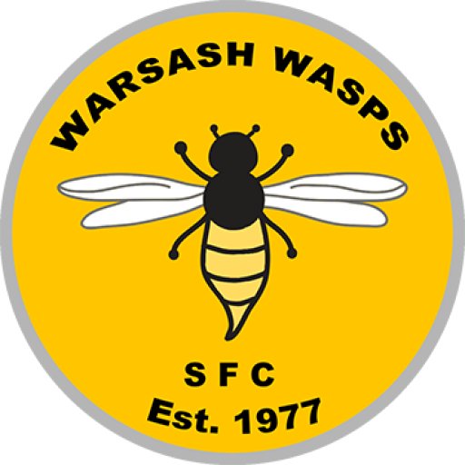Warsash Wasps Sports and Football Club was formed in 1977 to provide local children with a football team.