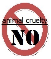 animalcrueltyNO's profile picture. Help stop Animal Cruelty. Donate to WPSA today! Or adopt an animal at your local pound! Help stop this awful violence in the world!!

Blog coming soon!!