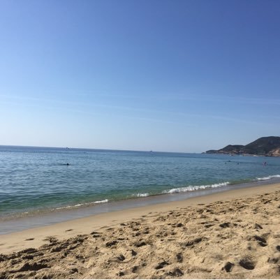 sapai_hans's profile picture. Moin