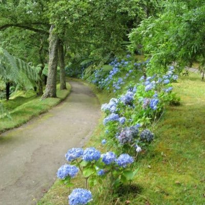 CuraVida_Centre's profile picture. CuraVida - Wellness in São Miguel, Açores, Portugal curavidacentre@gmail.com IG: curavida_centre