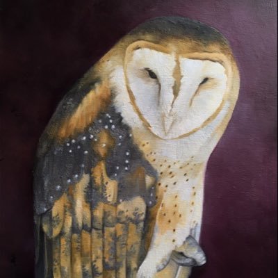 Amy Shawley is a painter, author and art educator. She is a Working Artist for Golden Paints in VA/DC/MD and teaches acrylic paint workshops nationally.