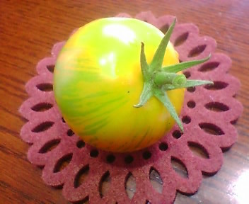 maisonaA's profile picture. ｢将来の夢はね〜…♪｣と、いつまで言っていたいょ(^-^)b