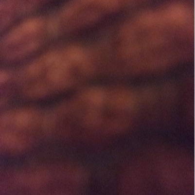 DONNAJEANETTE's profile picture. 