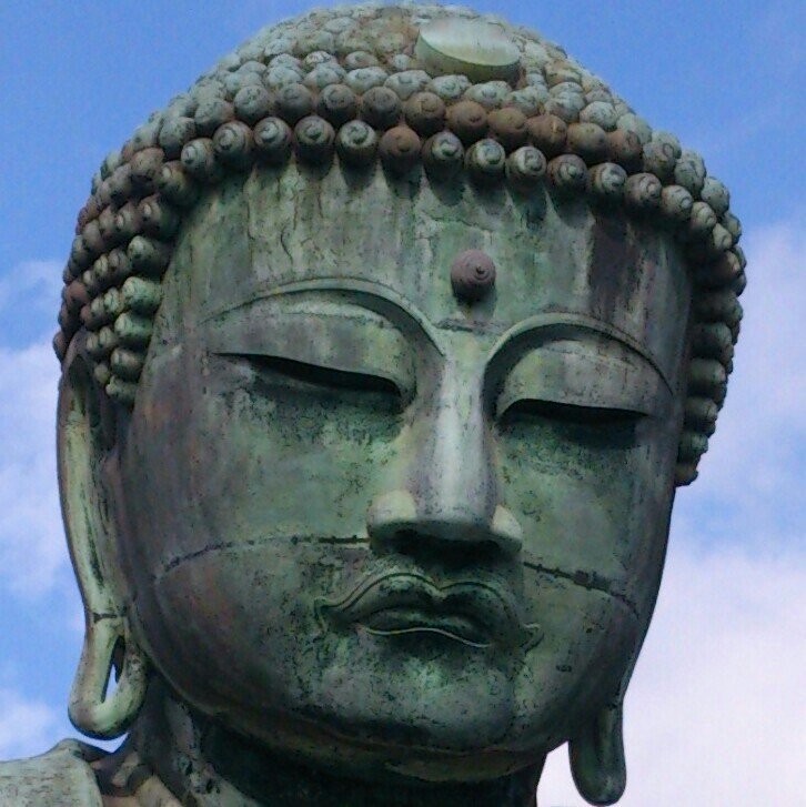 osaragi_daibutu's profile picture. ボドゲにハマって約10年。プレイしたゲームは数え切れず…基本情報収集用アカウント。