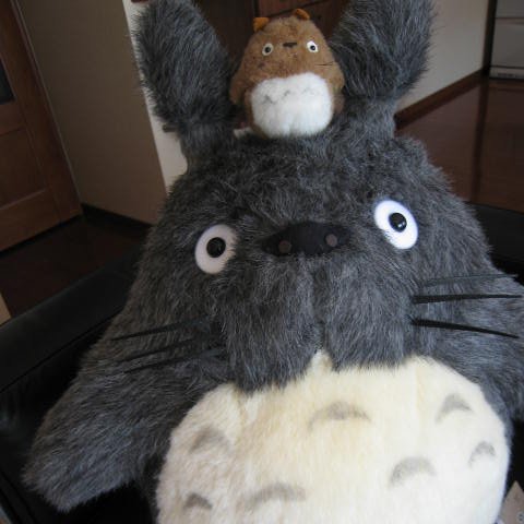 catheko's profile picture. ブログ「資格ゲッターが行く！」管理人。 村上春樹、ワイン（JSA SWE、SWE CSW、WSET Level3）、ジョグ（サブリノ）、サザン、大橋トリオ、The Charm Park、秦基博、オガスタ箱推し、旅。食べる＆呑むことを愛し銀座・新宿を徘徊。フォローリムお気軽に。