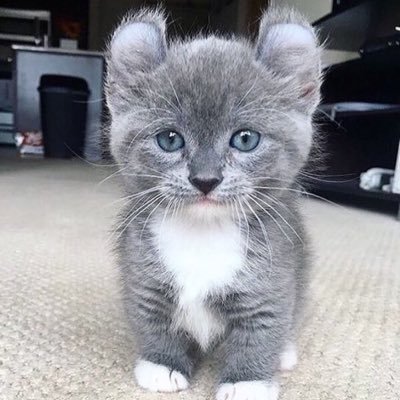 ta_tatayu's profile picture. 音楽が大好きな大学２年生in東海 好きな音楽の動画をあげていきます^ ^