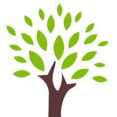 Monitoring trees around the UK to help protect this valuable natural resource.