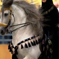 ندى الداود🇸🇦 (@nsdawod1) Twitter profile photo