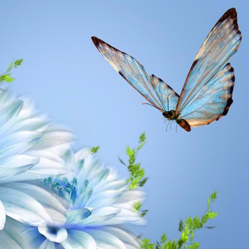 VidyaGawas's profile picture. 