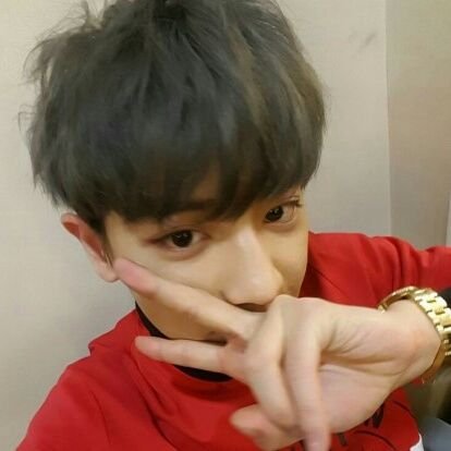 faairy_pcy's profile picture. 
