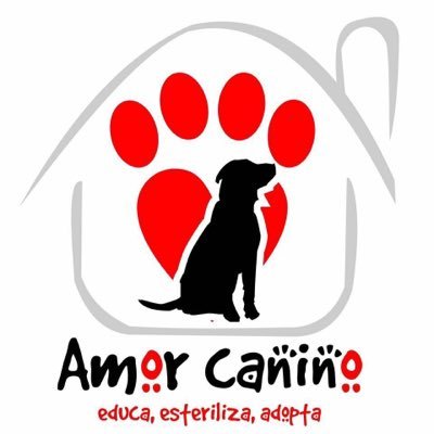 Una AC dedicada a fomentar la tenencia responsable de mascotas y asi trabajar para prevenir el maltrato animal y su posterior transformacion en violencia social