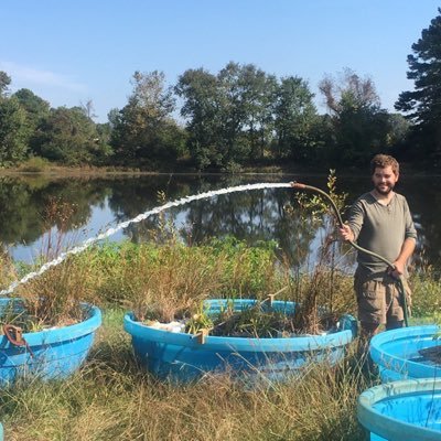 Outreach & research updates from a research team in @NCState_BAE  and @birgandwaterlab studying floating wetland island systems for stormwater wet ponds.