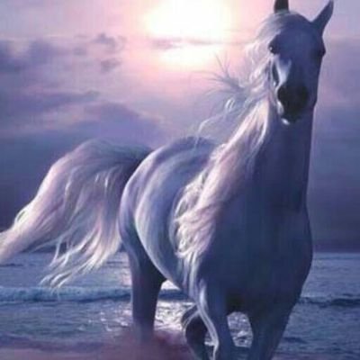 nayira_nabih's profile picture. france