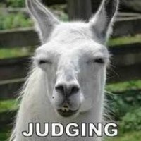 Snark Llama (@snarkllama) Twitter profile photo