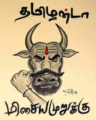 f51986ef4e3d404's profile picture. 