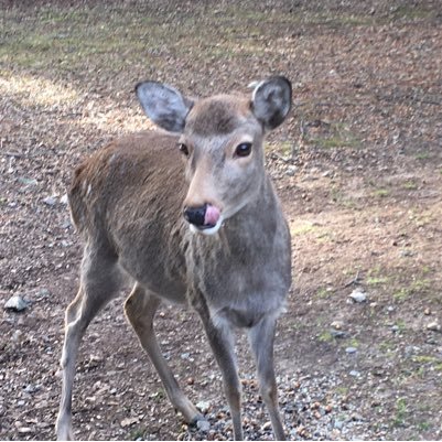 WOwcVowq7DncT3k's profile picture. 