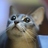 t_yumiu's profile image