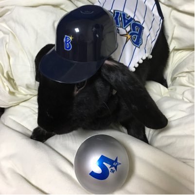 I ☆baystars(#81 &…) I♡Rabbits (🌈はなぱん。🐰くろろ🐰こゆき🐇)8May2023〜いちごだいふく。(5Jun2022生♂ｽﾀﾝﾀﾞｰﾄﾞﾚｯｷｽ@RABBIT_PUMPKINさん出身) 馬🐎 とか。 アラ還突入したのでリングフィットとか町会班長頑張る気持ち。