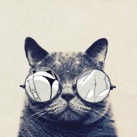Oleksandr Potii (@lonercactus) 's Twitter Profile