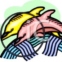 Dolphin House (@dolphinhoused8) 's Twitter Profile