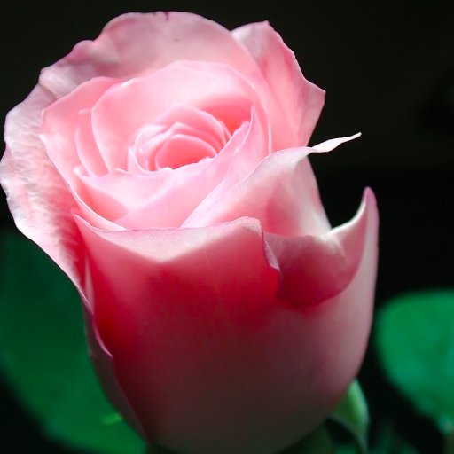 CommonSense90s's profile picture. #MarineLePen! #AuNomDuPeuple ! Support #Marine2017 #Frexit #MAGA #ProIsrael Make governments responsible 4 negligence & manslaughter by terrorists #Sweden