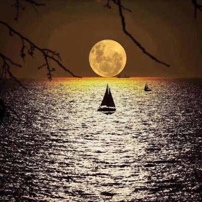 samidebo's profile picture. casual, politically incorrect, unapologetically workaholic.